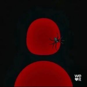 Meet your Posher, Esther